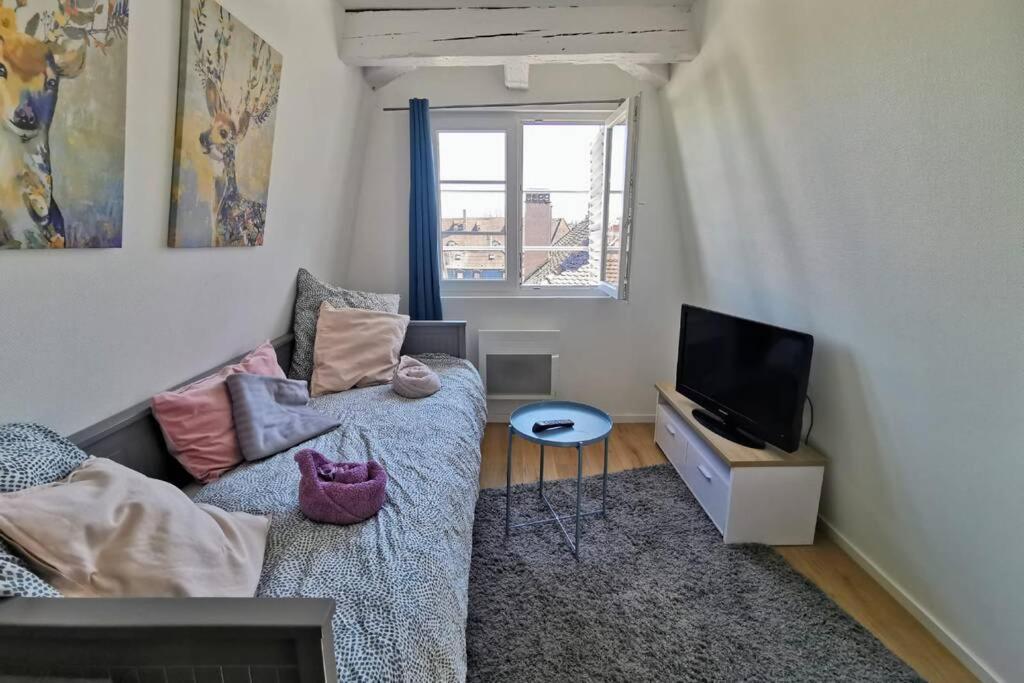 ** Appartement Cathedrale Strasbourg Centre** Exterior foto